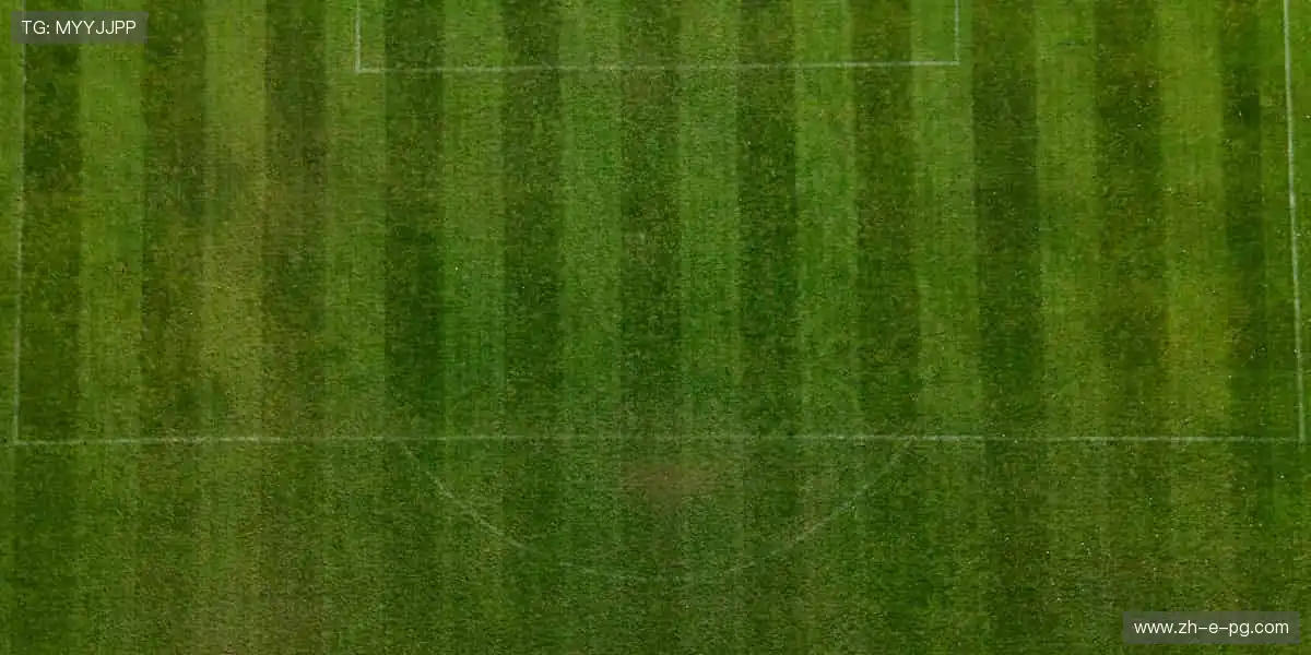 📱高清直播，实时追踪！错过瞬间，后悔一年🎥